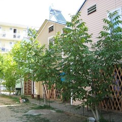 База отдыха Смородина, Лермонтово, Краснодарский край