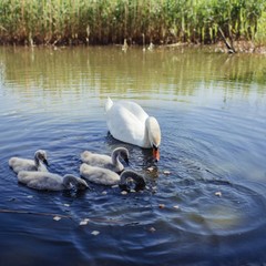 Отель Дом Рыболова, Лесной, Калининградская область