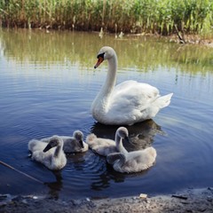Отель Дом Рыболова, Лесной, Калининградская область