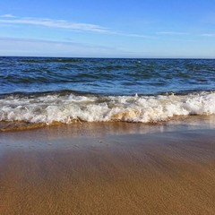 База отдыха Дюны, Лесной, Калининградская область