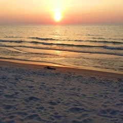 База отдыха Дюны, Лесной, Калининградская область