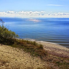 База отдыха Дюны, Лесной, Калининградская область
