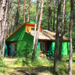 База отдыха Дюны, Лесной, Калининградская область