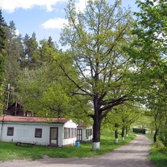 База отдыха Усадьба Лесогорская, Выборгский район, Ленинградская область
