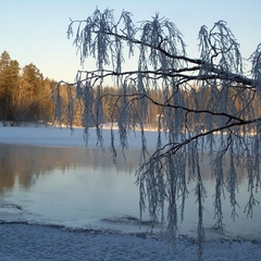 База отдыха Усадьба Лесогорская, Выборгский район, Ленинградская область