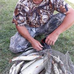 Гостевой дом Берлога, Лиман, Астраханская область