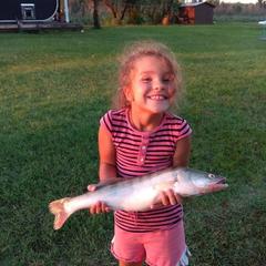 Гостевой дом Берлога, Лиман, Астраханская область