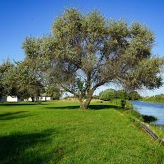 Гостевой дом Берлога, Лиман, Астраханская область