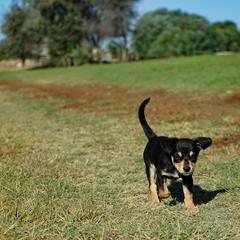 Гостевой дом Берлога, Лиман, Астраханская область