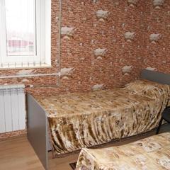Отель Лебедь, Липецк, Липецкая область