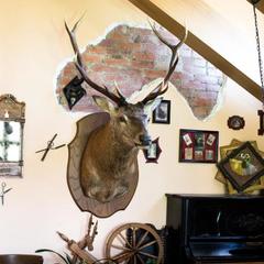 Гостевой дом Таверна Лисья Нора, Лисий Нос, Ленинградская область