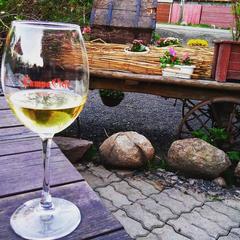 Гостевой дом Таверна Лисья Нора, Лисий Нос, Ленинградская область