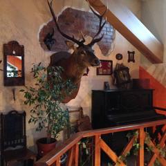 Гостевой дом Таверна Лисья Нора, Лисий Нос, Ленинградская область