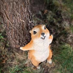 Гостиница Family Hotel RaDom, Лиски, Воронежская область