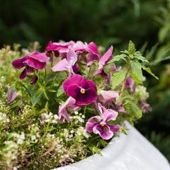 Гостиница Family Hotel RaDom, Лиски, Воронежская область