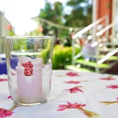 Гостиница Family Hotel RaDom, Лиски, Воронежская область