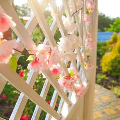 Гостиница Family Hotel RaDom, Лиски, Воронежская область