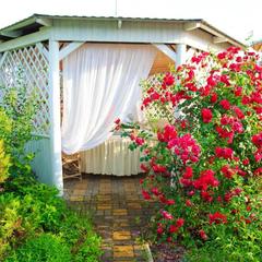 Гостиница Family Hotel RaDom, Лиски, Воронежская область