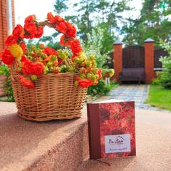 Гостиница Family Hotel RaDom, Лиски, Воронежская область