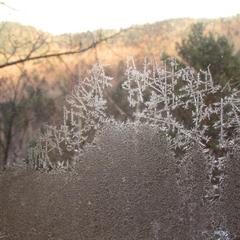 Хостел Белка, Листвянка, Иркутская область