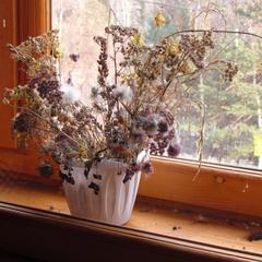 Хостел Белка, Листвянка, Иркутская область