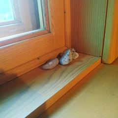 Хостел Белка, Листвянка, Иркутская область