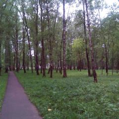 Апартаменты КакДома-SVO Студио, Лобня, Московская область