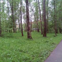 Апартаменты КакДома-SVO Студио, Лобня, Московская область