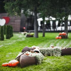 Гостиница MONA, Лобня, Московская область