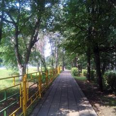 Апартаменты КакДома-SVO Студио, Лобня, Московская область