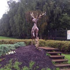 Апартаменты КакДома-SVO Студио, Лобня, Московская область