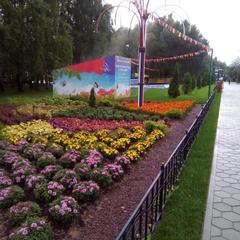 Апартаменты КакДома-SVO Студио, Лобня, Московская область