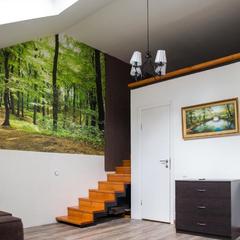 Гостевой дом Экодомик, Лобня, Московская область