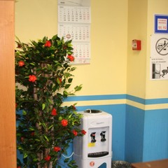 Отель HotelHot Шереметьево, Лобня, Московская область