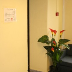 Отель HotelHot Шереметьево, Лобня, Московская область