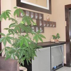 Гостиница Айсберг Хаус, Лобня, Московская область