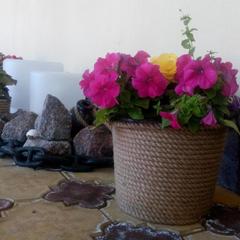 Гостевой дом Кают-компания, Ломоносов, Ленинградская область