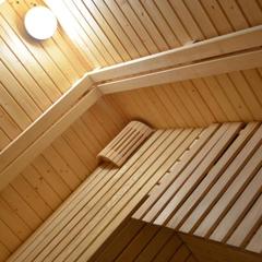 Гостиница Айсберг Хаус, Лобня, Московская область