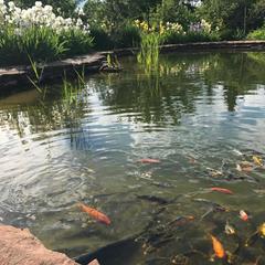 Вилла Lobnya Village, Лобня, Московская область