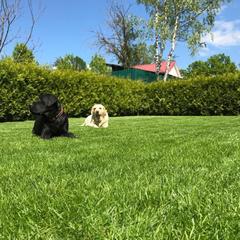 Вилла Lobnya Village, Лобня, Московская область