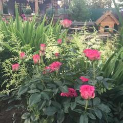 Вилла Lobnya Village, Лобня, Московская область