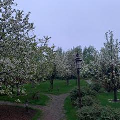 Вилла Lobnya Village, Лобня, Московская область