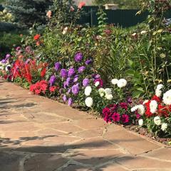 Вилла Lobnya Village, Лобня, Московская область