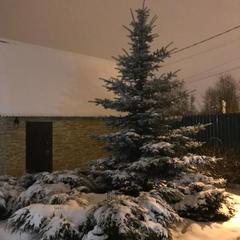 Вилла Lobnya Village, Лобня, Московская область