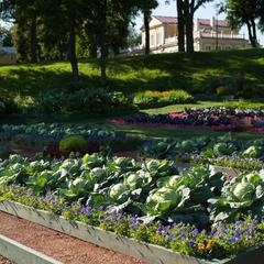 Гостевой дом Кают-компания, Ломоносов, Ленинградская область