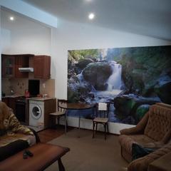 Апартамент Мартышкино, Ломоносов, Ленинградская область