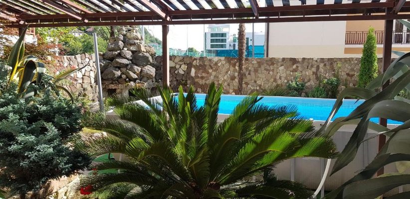 Агава — фото 4