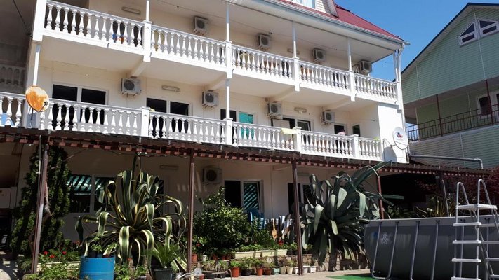 Агава — фото 2