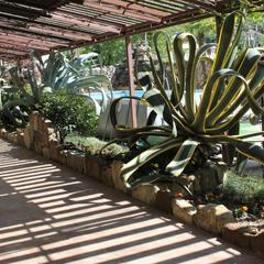 Гостевой дом Агава, Лоо, Краснодарский край