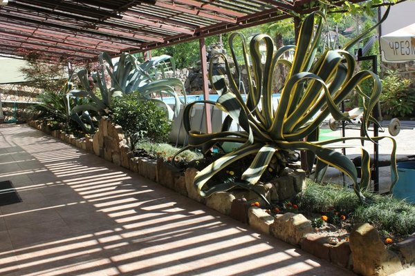 Агава — фото 5